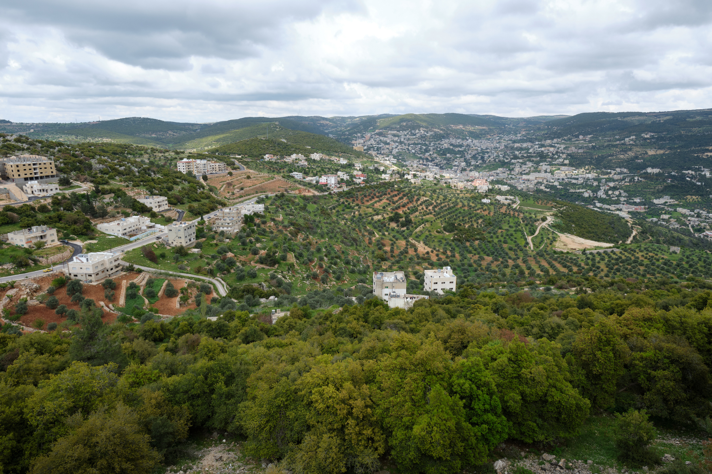 ajloun (4).webp